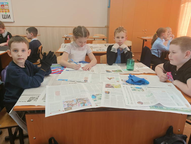 Петунии для школьного двора.